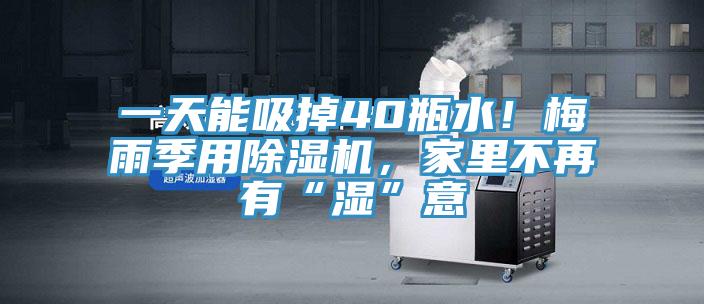一天能吸掉40瓶水！梅雨季用泡芙短视频APP官方下载地址，家里不再有“湿”意