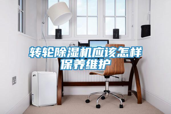 转轮泡芙短视频APP官方下载地址应该怎样保养维护