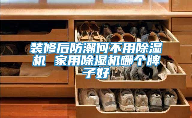 装修后防潮何不用泡芙短视频APP官方下载地址 家用泡芙短视频APP官方下载地址哪个牌子好