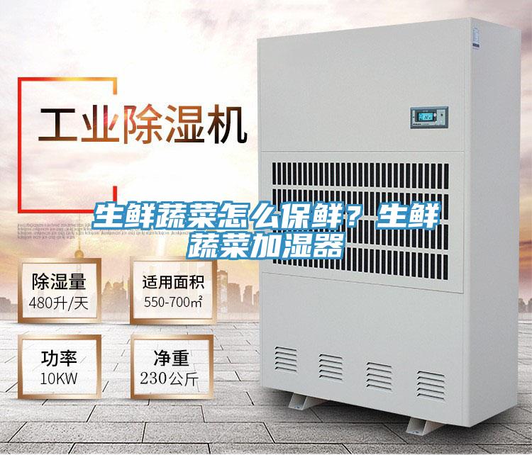 生鲜蔬菜怎么保鲜？生鲜蔬菜加湿器