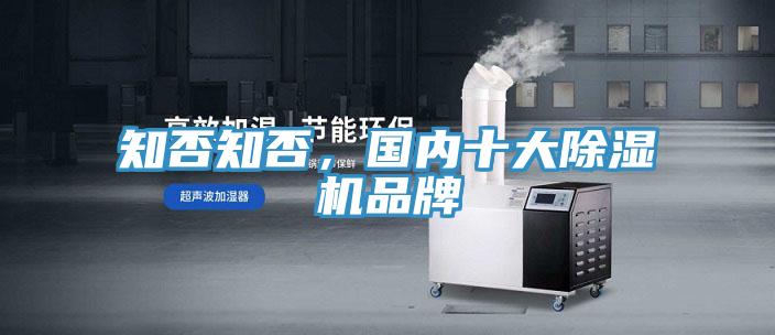 知否知否，国内十大泡芙短视频APP官方下载地址品牌