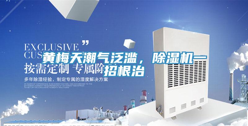 黄梅天潮气泛滥，泡芙短视频APP官方下载地址一招根治