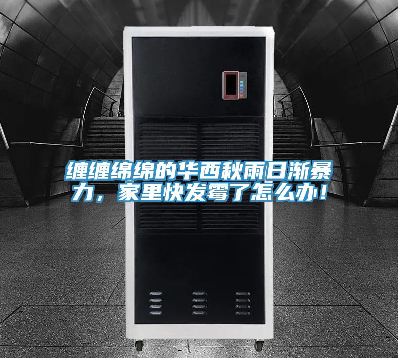 缠缠绵绵的华西秋雨日渐暴力，家里快发霉了怎么办！