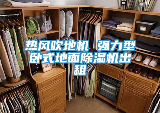 热风吹地机 强力型卧式地面泡芙短视频APP官方下载地址出租