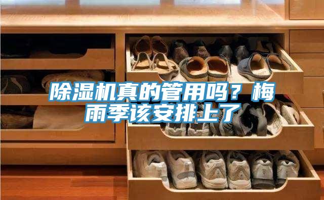 泡芙短视频APP官方下载地址真的管用吗？梅雨季该安排上了