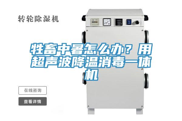 牲畜中暑怎么办？用超声波降温消毒一体机