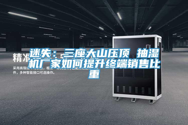 迷失：三座大山压顶 抽湿机厂家如何提升终端销售比重