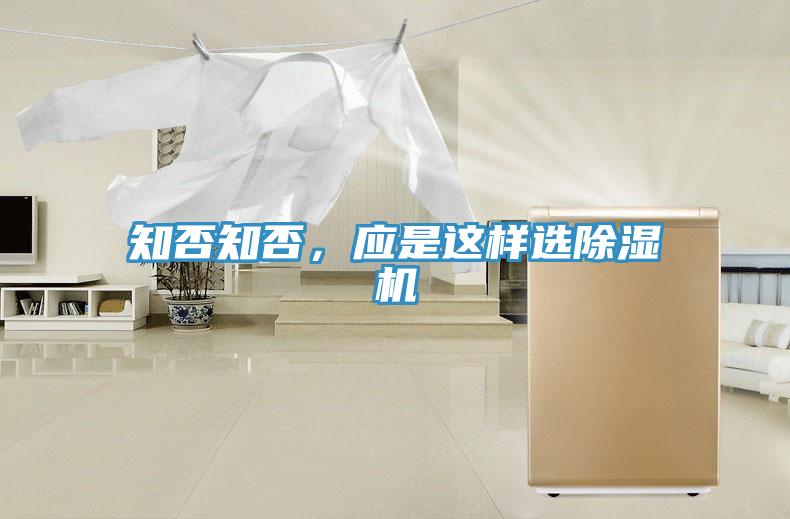 知否知否，应是这样选泡芙短视频APP官方下载地址