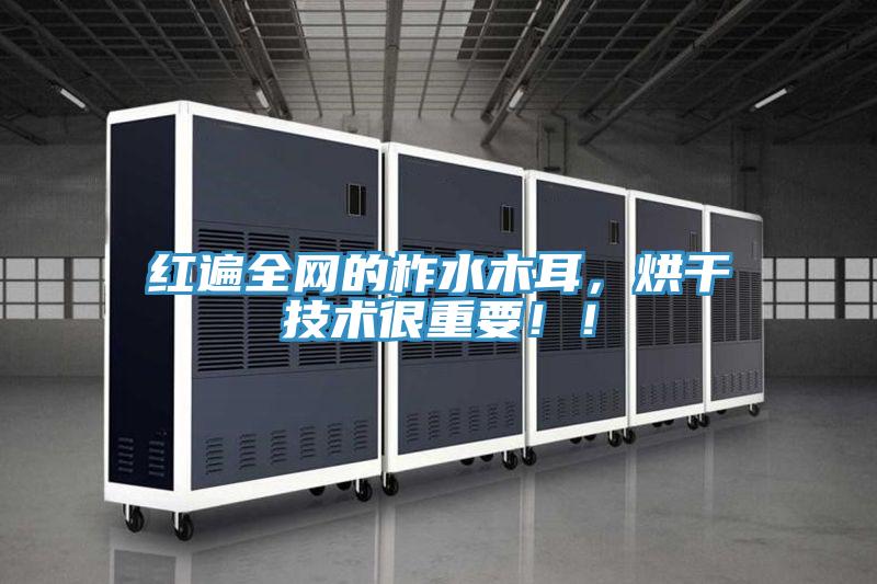 红遍全网的柞水木耳，烘干技术很重要！！