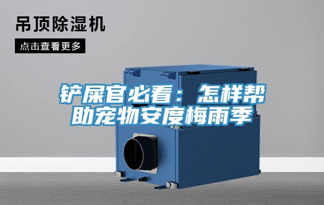 铲屎官必看：怎样帮助宠物安度梅雨季