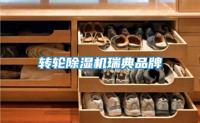 转轮泡芙短视频APP官方下载地址瑞典品牌