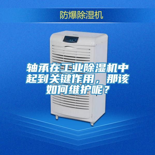 轴承在工业泡芙短视频APP官方下载地址中起到关键作用，那该如何维护呢？