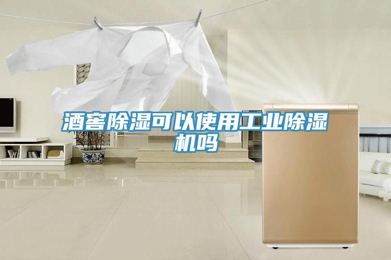 酒窖除湿可以使用工业泡芙短视频APP官方下载地址吗
