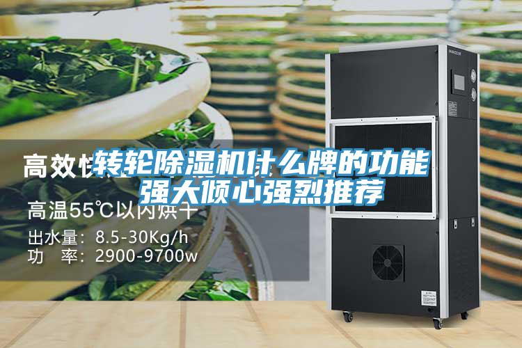 转轮泡芙短视频APP官方下载地址什么牌的功能强大倾心强烈推荐