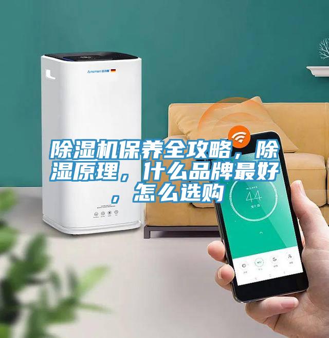 泡芙短视频APP官方下载地址保养全攻略，除湿原理，什么品牌最好，怎么选购