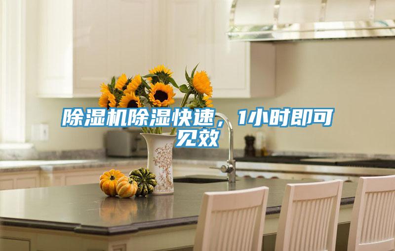 泡芙短视频APP官方下载地址除湿快速，1小时即可见效