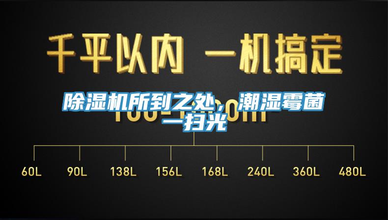 泡芙短视频APP官方下载地址所到之处，潮湿霉菌一扫光