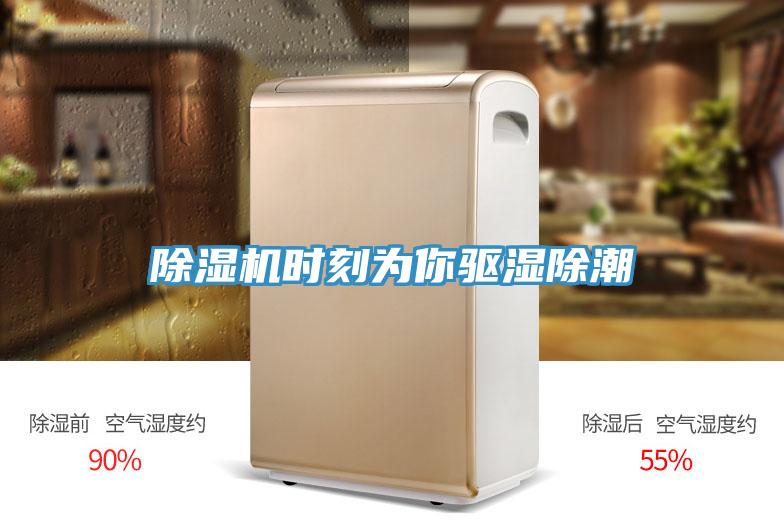 泡芙短视频APP官方下载地址时刻为你驱湿除潮