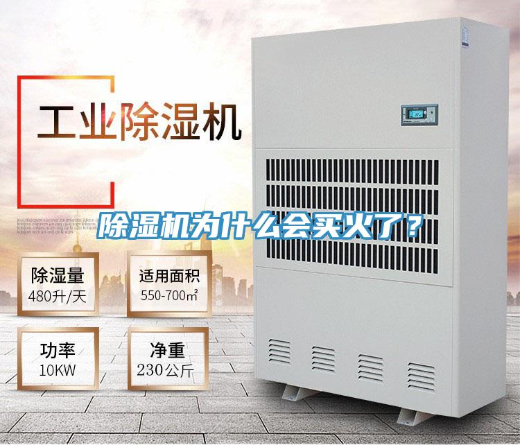 泡芙短视频APP官方下载地址为什么会买火了？