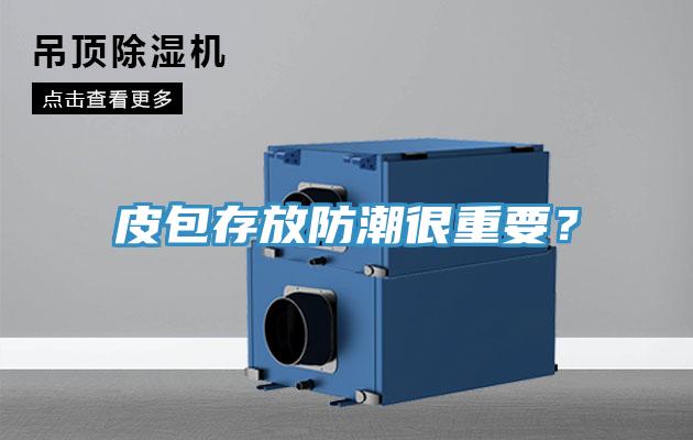 皮包存放防潮很重要？