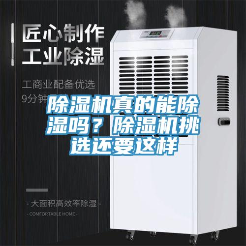 泡芙短视频APP官方下载地址真的能除湿吗？泡芙短视频APP官方下载地址挑选还要这样