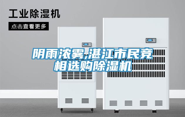 阴雨浓雾,湛江市民竞相选购泡芙短视频APP官方下载地址