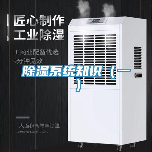 除湿系统知识(一)