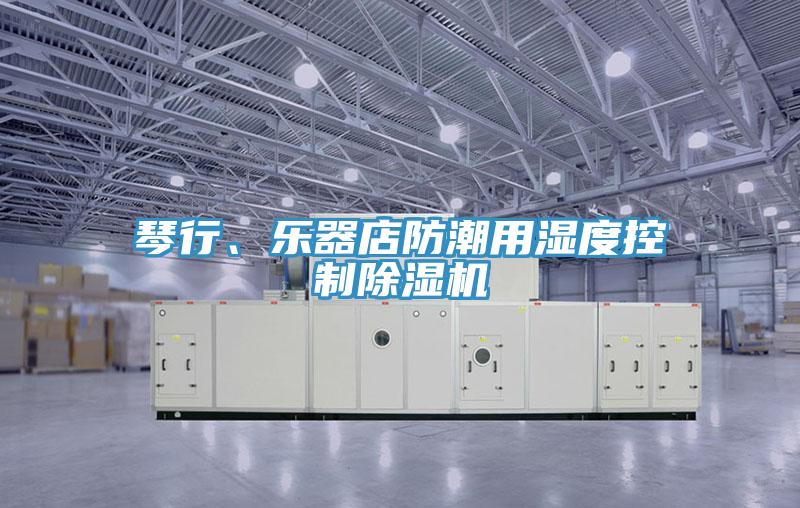 琴行、乐器店防潮用湿度控制泡芙短视频APP官方下载地址