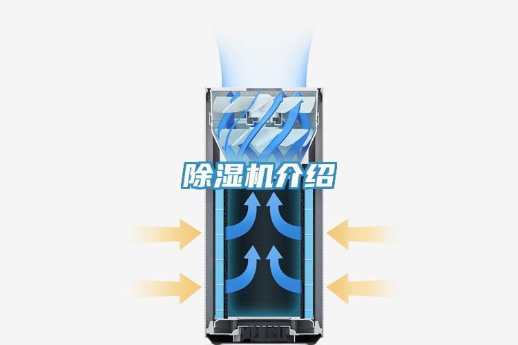 泡芙短视频APP官方下载地址介绍