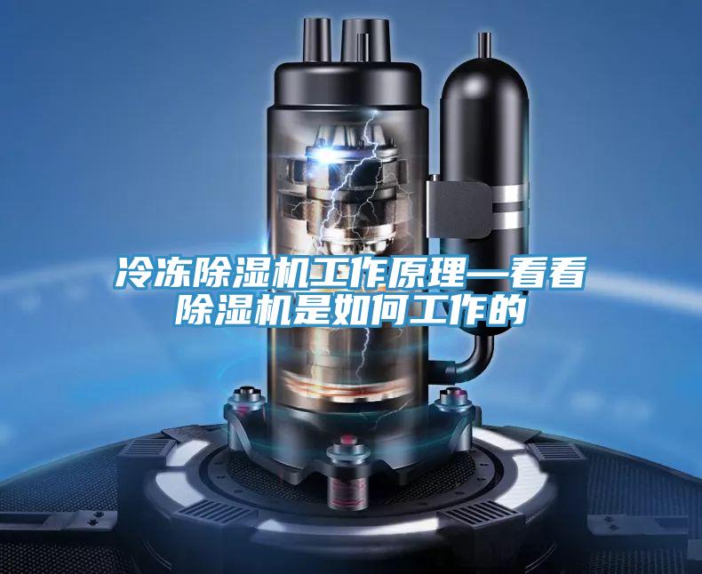 冷冻泡芙短视频APP官方下载地址工作原理—看看泡芙短视频APP官方下载地址是如何工作的