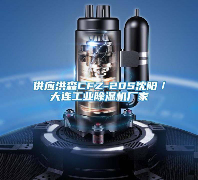 供应洪森CFZ-20S沈阳／大连工业泡芙短视频APP官方下载地址厂家