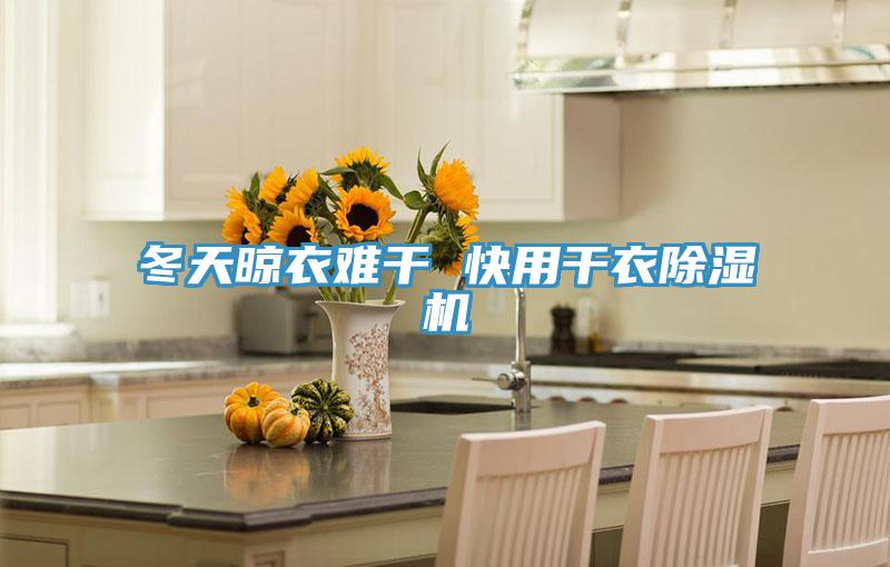 冬天晾衣难干 快用干衣泡芙短视频APP官方下载地址