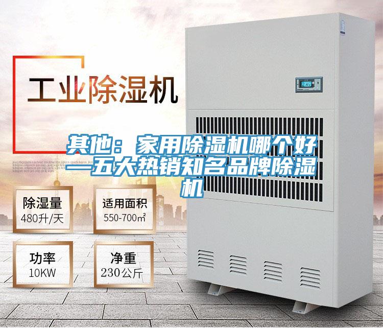 其他：家用泡芙短视频APP官方下载地址哪个好—五大热销知名品牌泡芙短视频APP官方下载地址