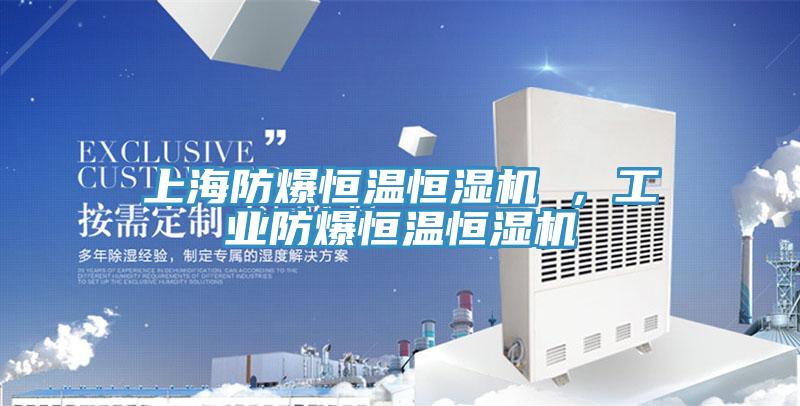 上海防爆恒温恒湿机 ，工业防爆恒温恒湿机