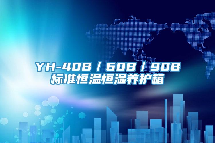 YH-40B/60B/90B标准恒温恒湿养护箱