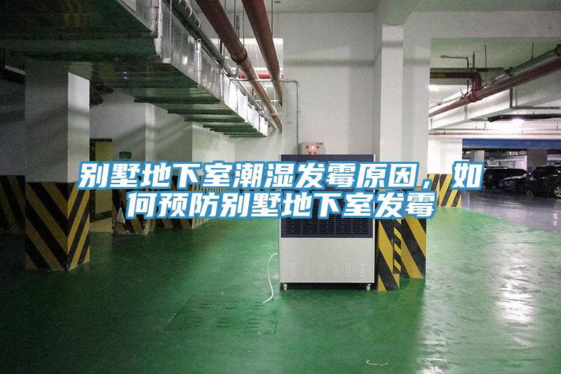别墅地下室潮湿发霉原因，如何预防别墅地下室发霉