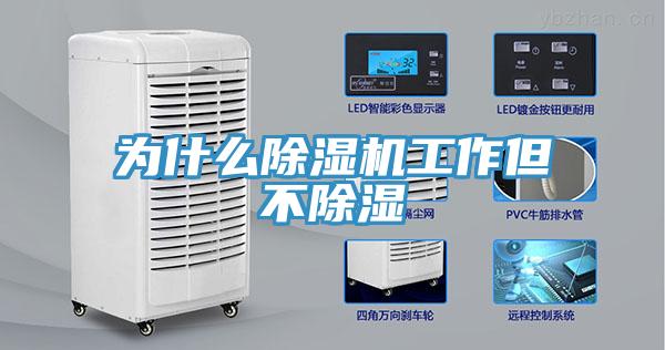 为什么泡芙短视频APP官方下载地址工作但不除湿