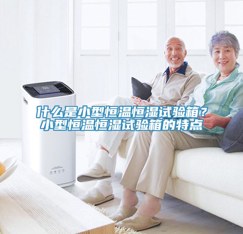 什么是小型恒温恒湿试验箱？小型恒温恒湿试验箱的特点
