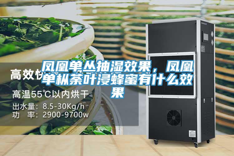 凤凰单丛抽湿效果，凤凰单枞荼叶浸蜂蜜有什么效果