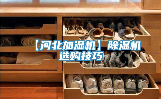 【河北加湿机】泡芙短视频APP官方下载地址选购技巧