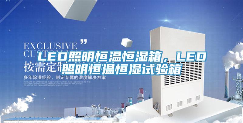LED照明恒温恒湿箱，LED照明恒温恒湿试验箱