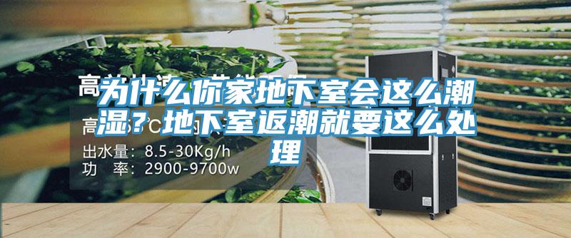 为什么你家地下室会这么潮湿？地下室返潮就要这么处理