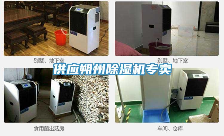 供应朔州泡芙短视频APP官方下载地址专卖