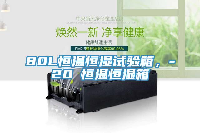 80L恒温恒湿试验箱，-20℃恒温恒湿箱