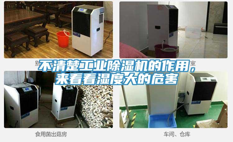 不清楚工业泡芙短视频APP官方下载地址的作用，来看看湿度大的危害