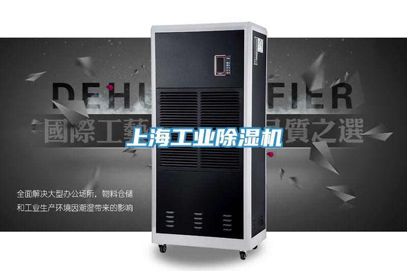 上海工业泡芙短视频APP官方下载地址