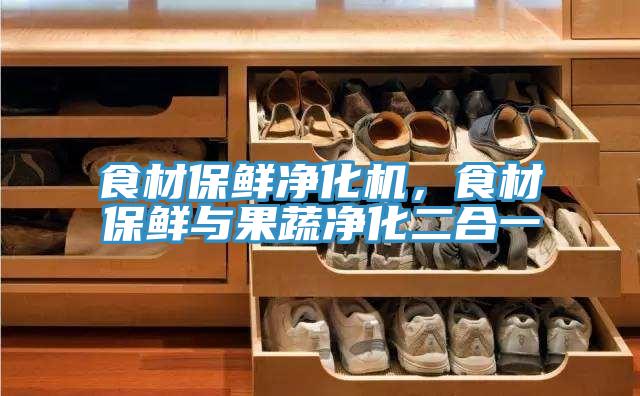 食材保鲜净化机，食材保鲜与果蔬净化二合一