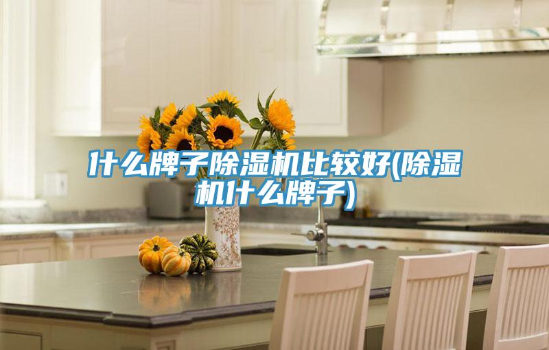 什么牌子泡芙短视频APP官方下载地址比较好(泡芙短视频APP官方下载地址什么牌子)