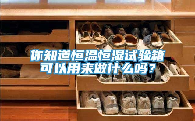 你知道恒温恒湿试验箱可以用来做什么吗？