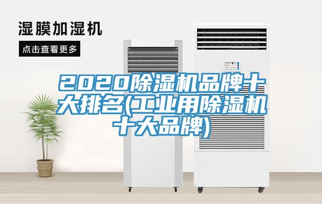 2020泡芙短视频APP官方下载地址品牌十大排名(工业用泡芙短视频APP官方下载地址十大品牌)